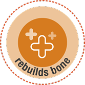 Rebuilds bone icon